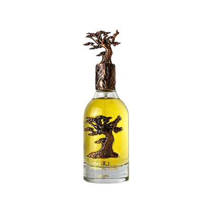 Eternal Oud by Lattafa - Unisex Perfume Decants