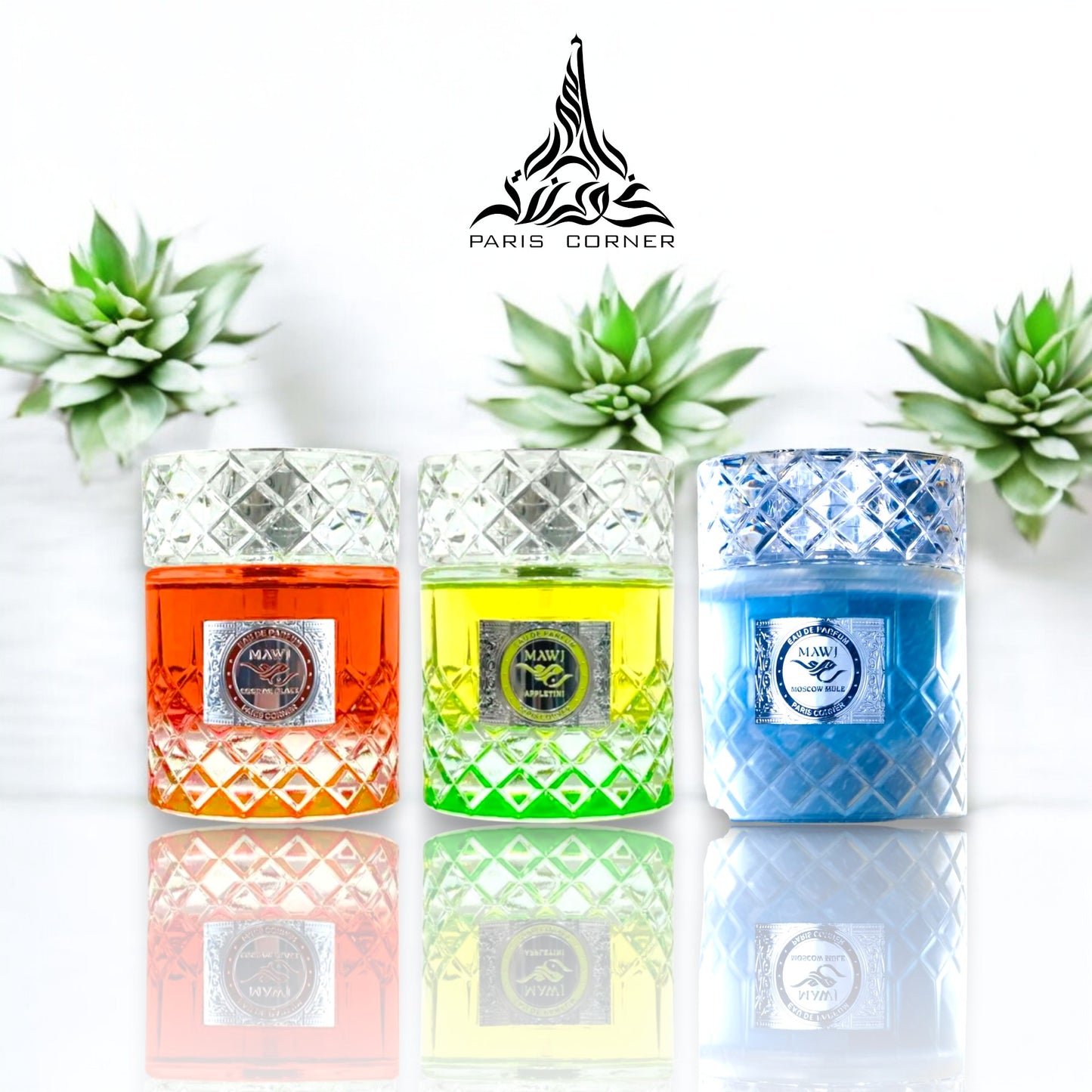 Paris Corner Perfumes | Mawj Discovery Set | Mano Decants